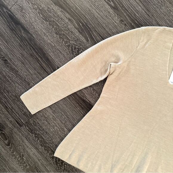 Eileen Fisher 100% Superfine Merino Wool V Neck Sweater New - Picture 2 of 10